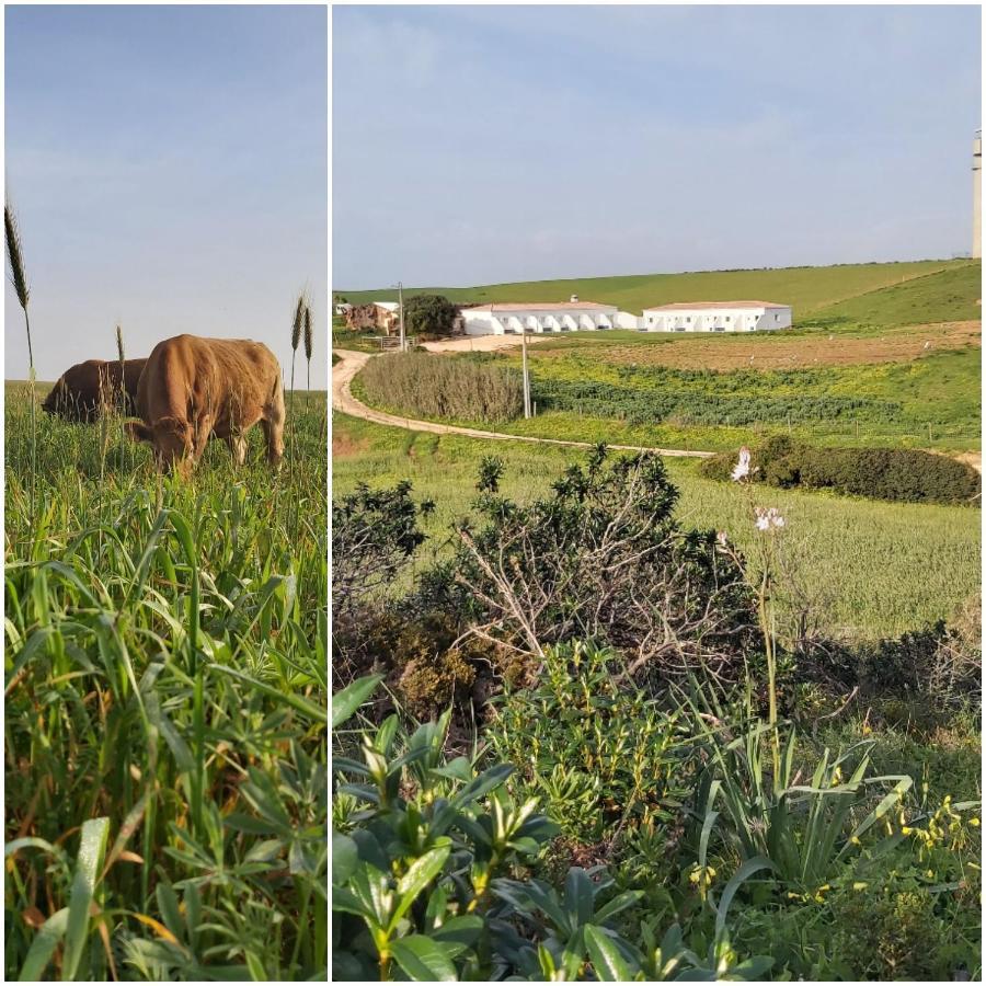 Monte Bagao - Turismo Rural Vila do Bispo Exterior photo